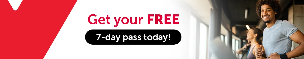 Try the Y Free